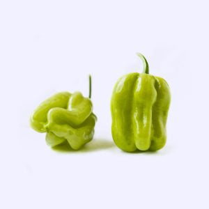Fresh Green Pepper (Ata Rodo) 500g
